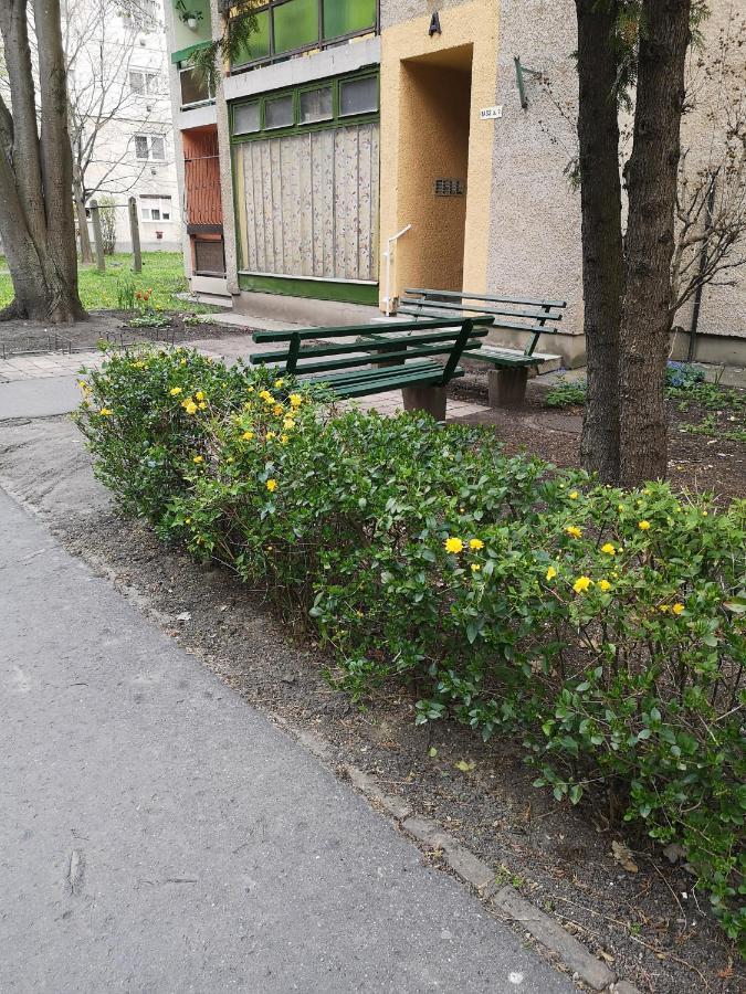Natasa Apartman Orosháza Екстериор снимка